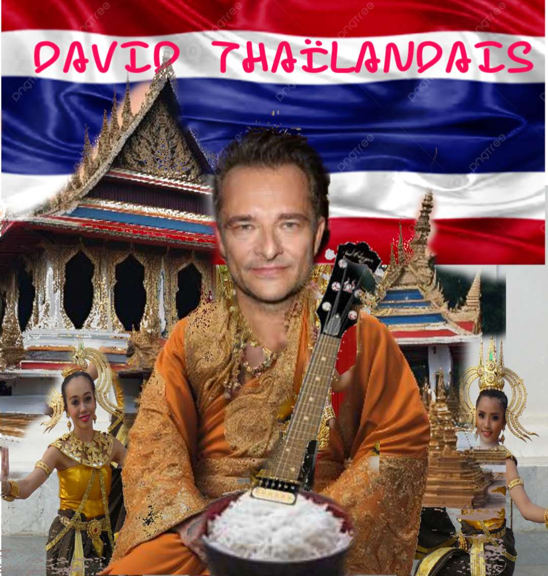 David Hallyday 