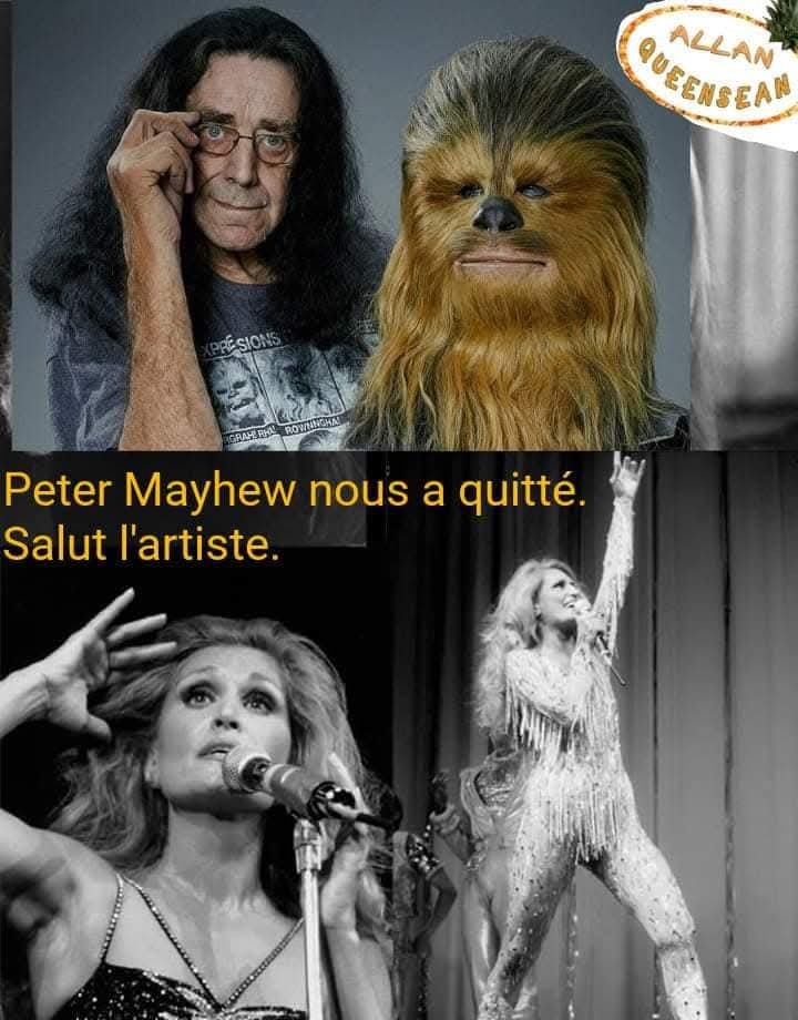 Peter Mayew Dalida 