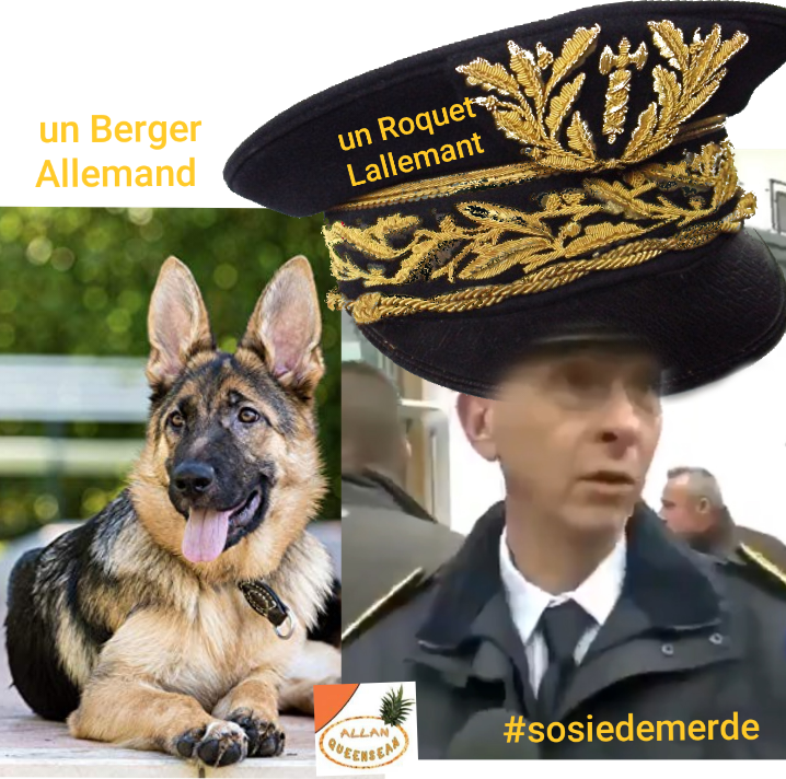 Préfet Lallemant