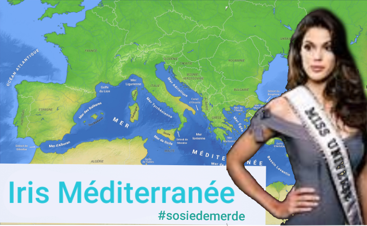 Iris mittenaere