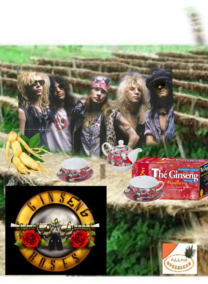 Guns 'n Roses