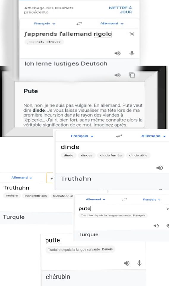J'apprends l'allemand avec google