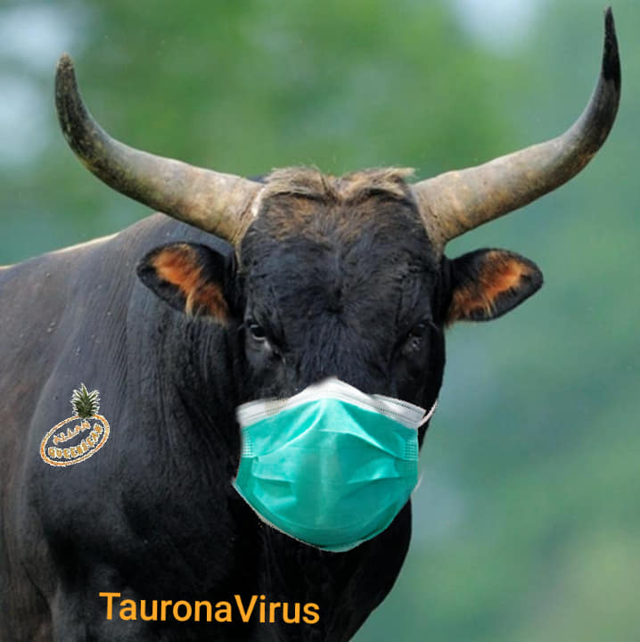 Conarovirus
