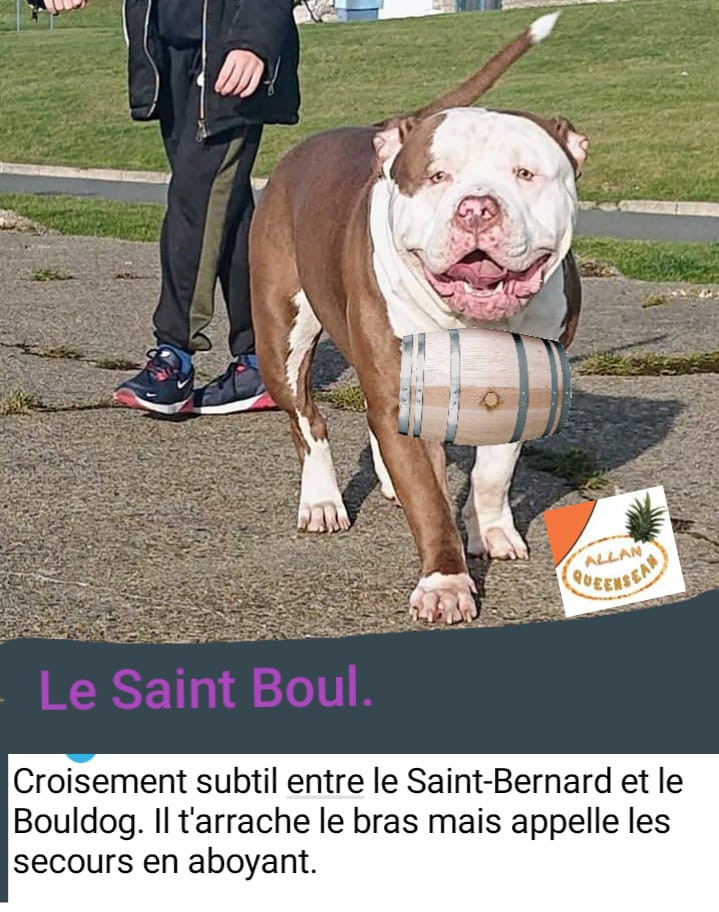 Bully