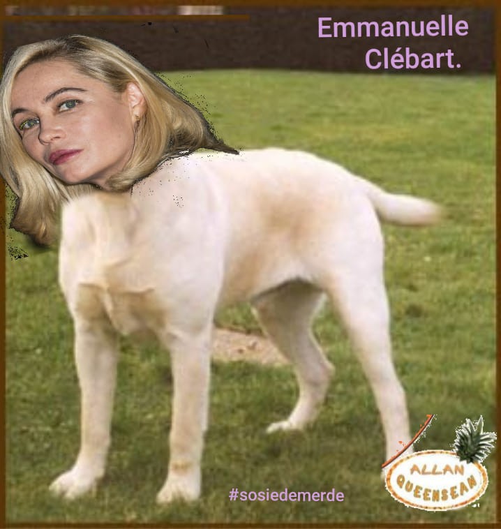 Emmanuelle Beart