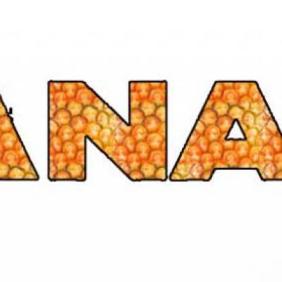 ananasdaq