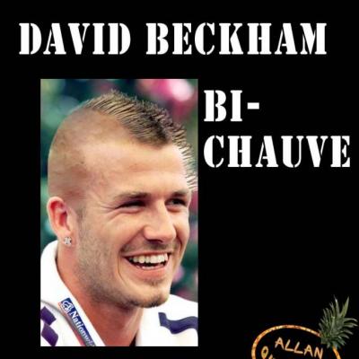 Beckham Bi Chauve