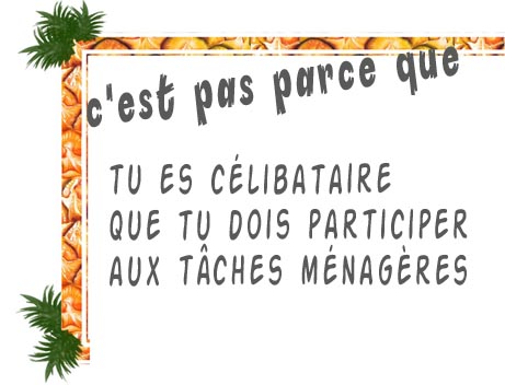 celibataire et taches menagere