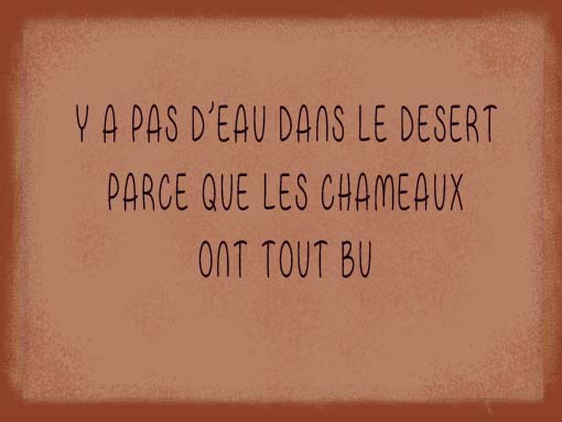 chameau