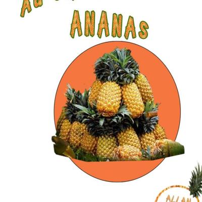 Le Choix Ananas