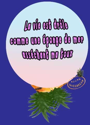 eponge de mer