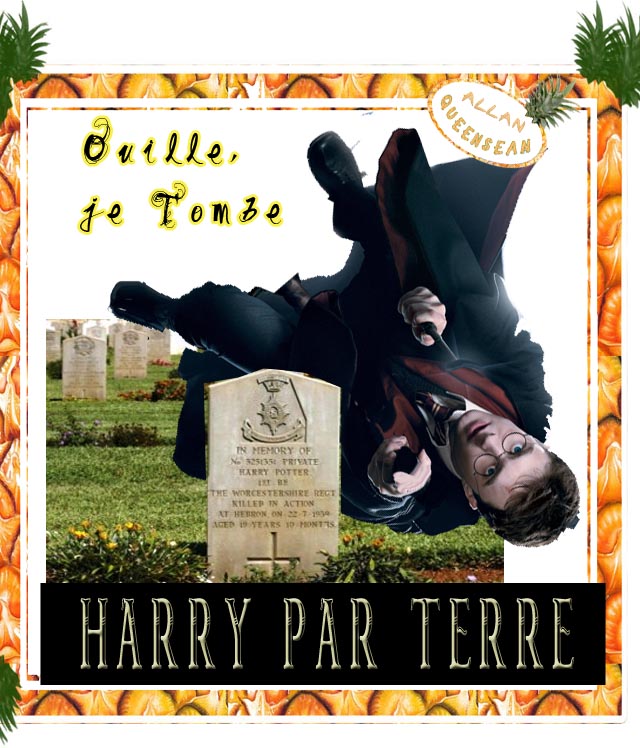 Harry Parterre