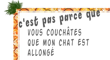 le chat couché