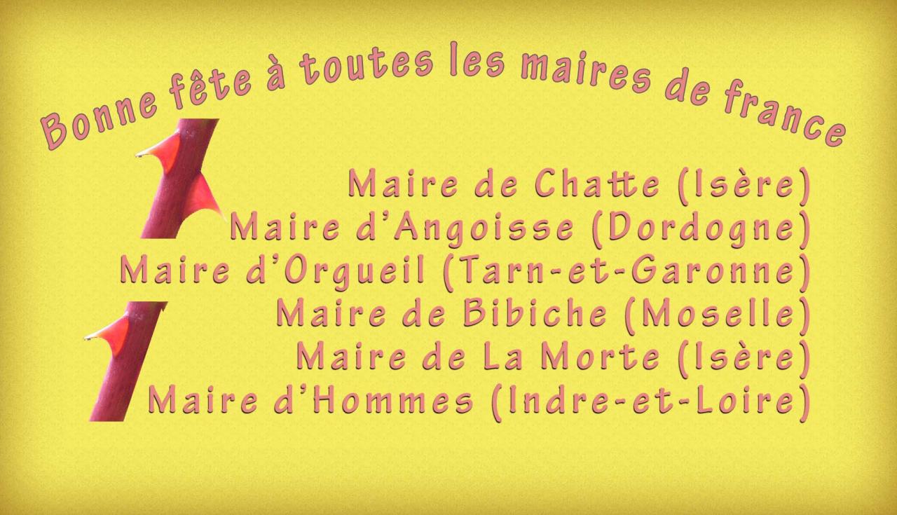 L' amere d'où