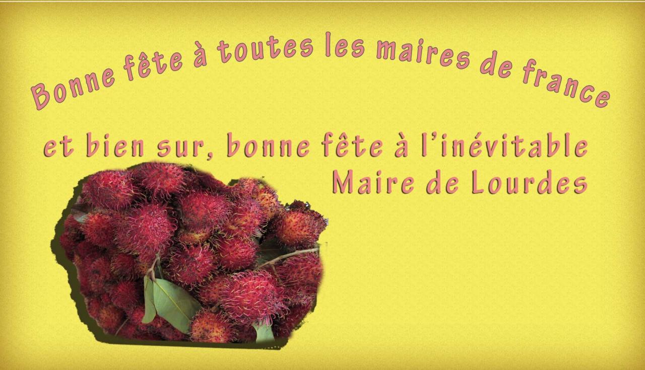 La merde quoi ?