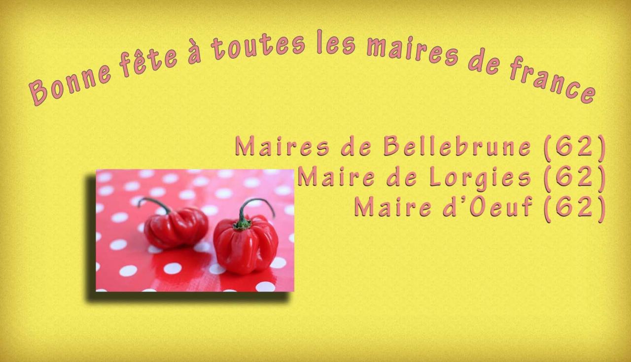 Les maires de 