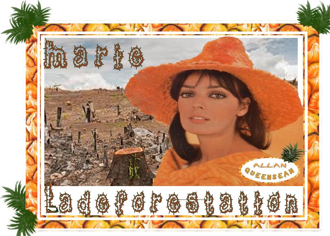 Marie la Deforestation