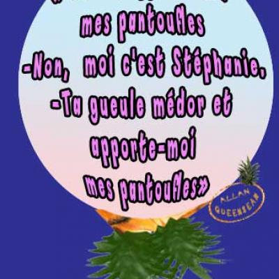 medor pantoufles
