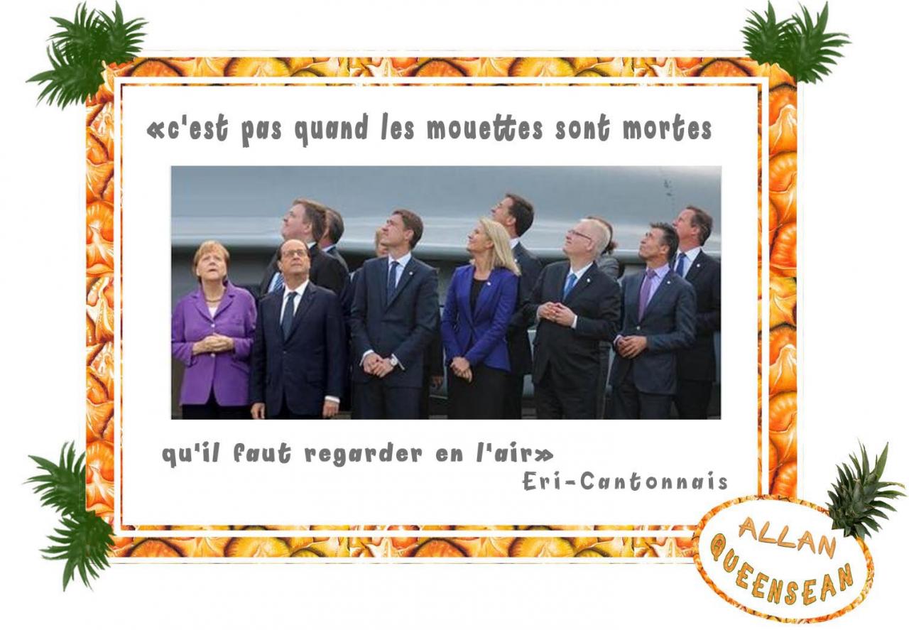 mouettes