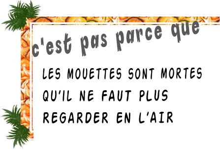 Mouettes