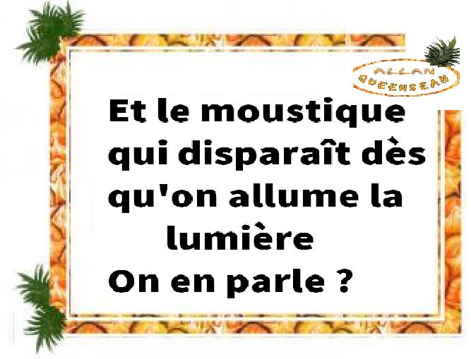 moustique 1
