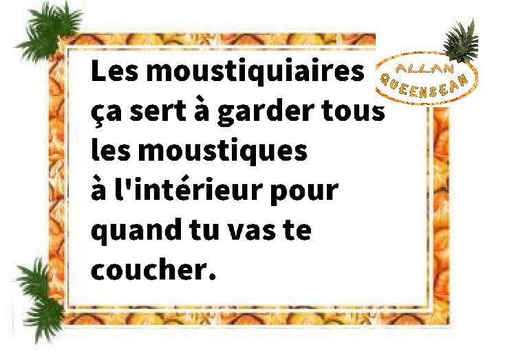moustique 2