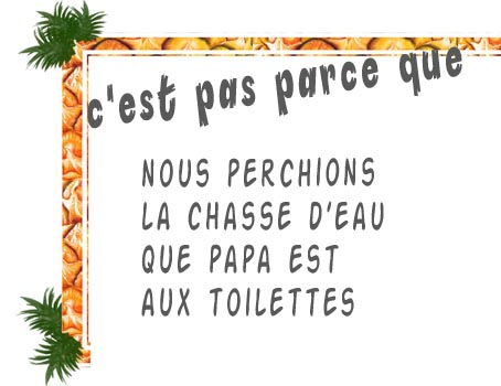 la chasse à l'eau