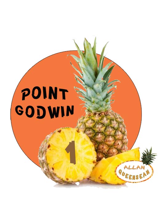 POINT GODWIN
