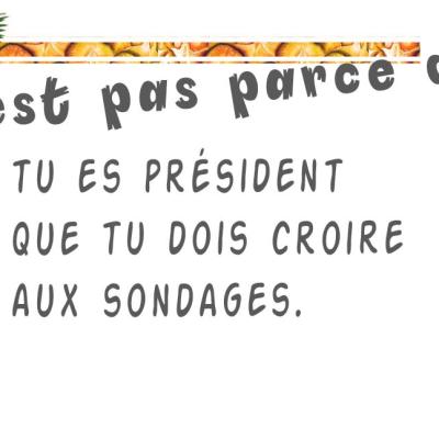 sondage