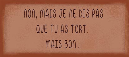 Tu n'as pas tort, mais bon