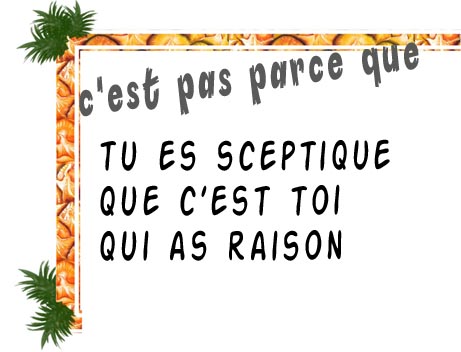 t y crois ou t y crois pas