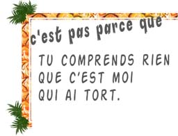 Tu comprends que t'as tort
