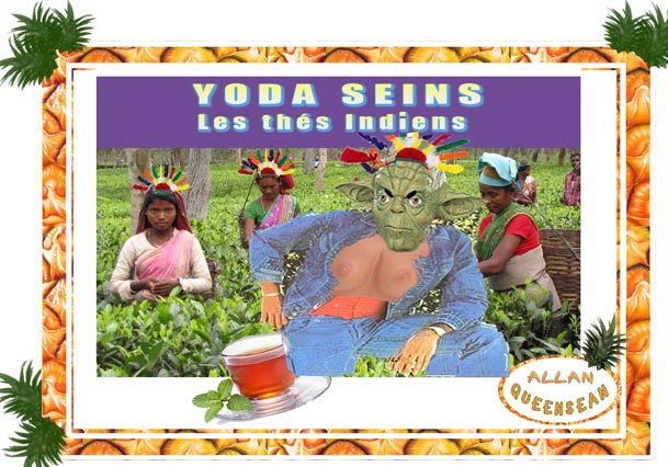 Yoda Seins