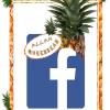 Logo fb